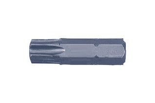 Standaard Bit 25mm TX40 (10st)