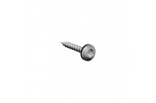 Dakpanschroef torx met EPDM...